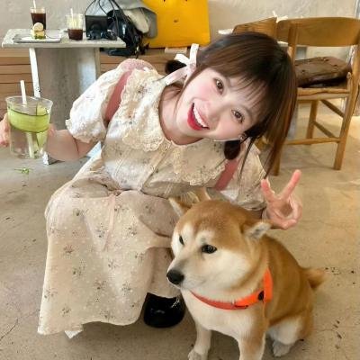 旋风九日